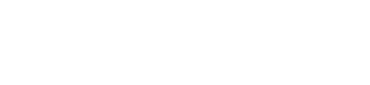 learnlassi.com